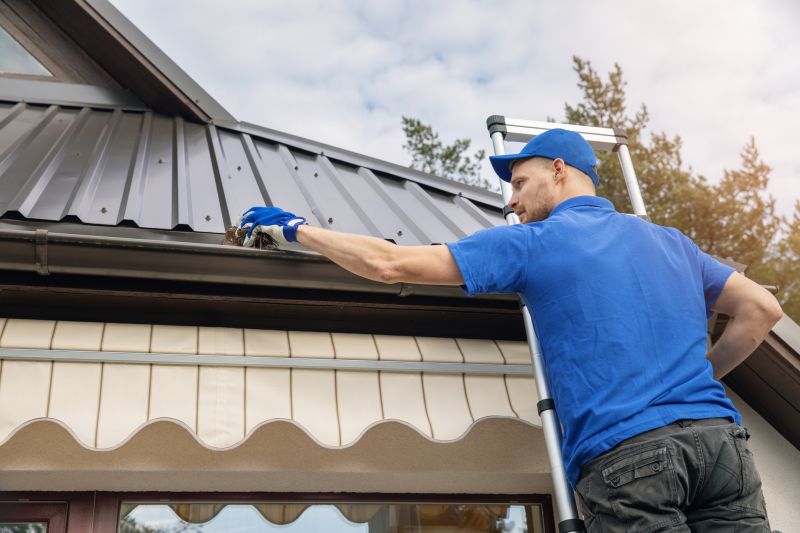 Professional Gutter Inspection